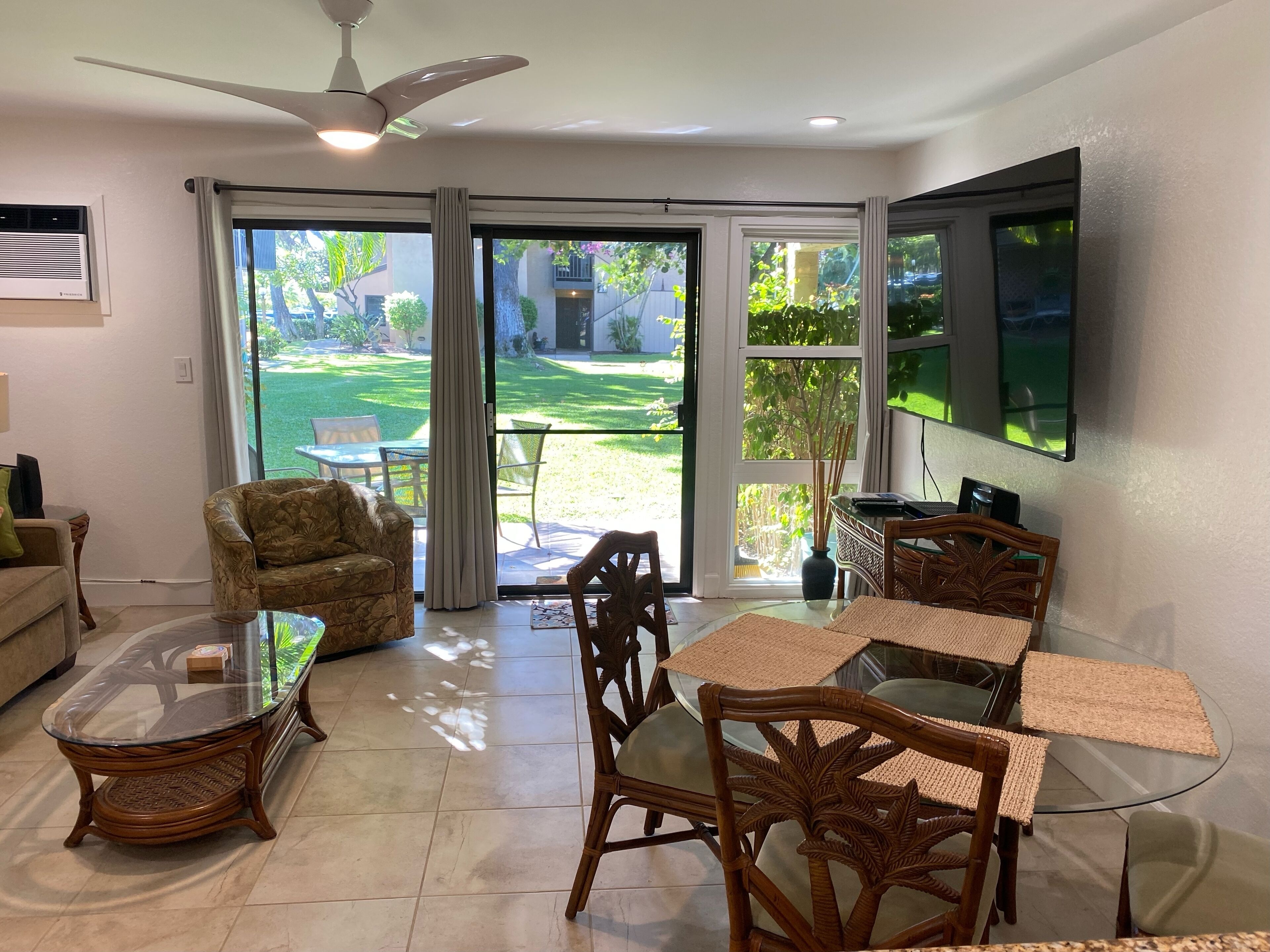 Smart TV, DVD player, books, video library