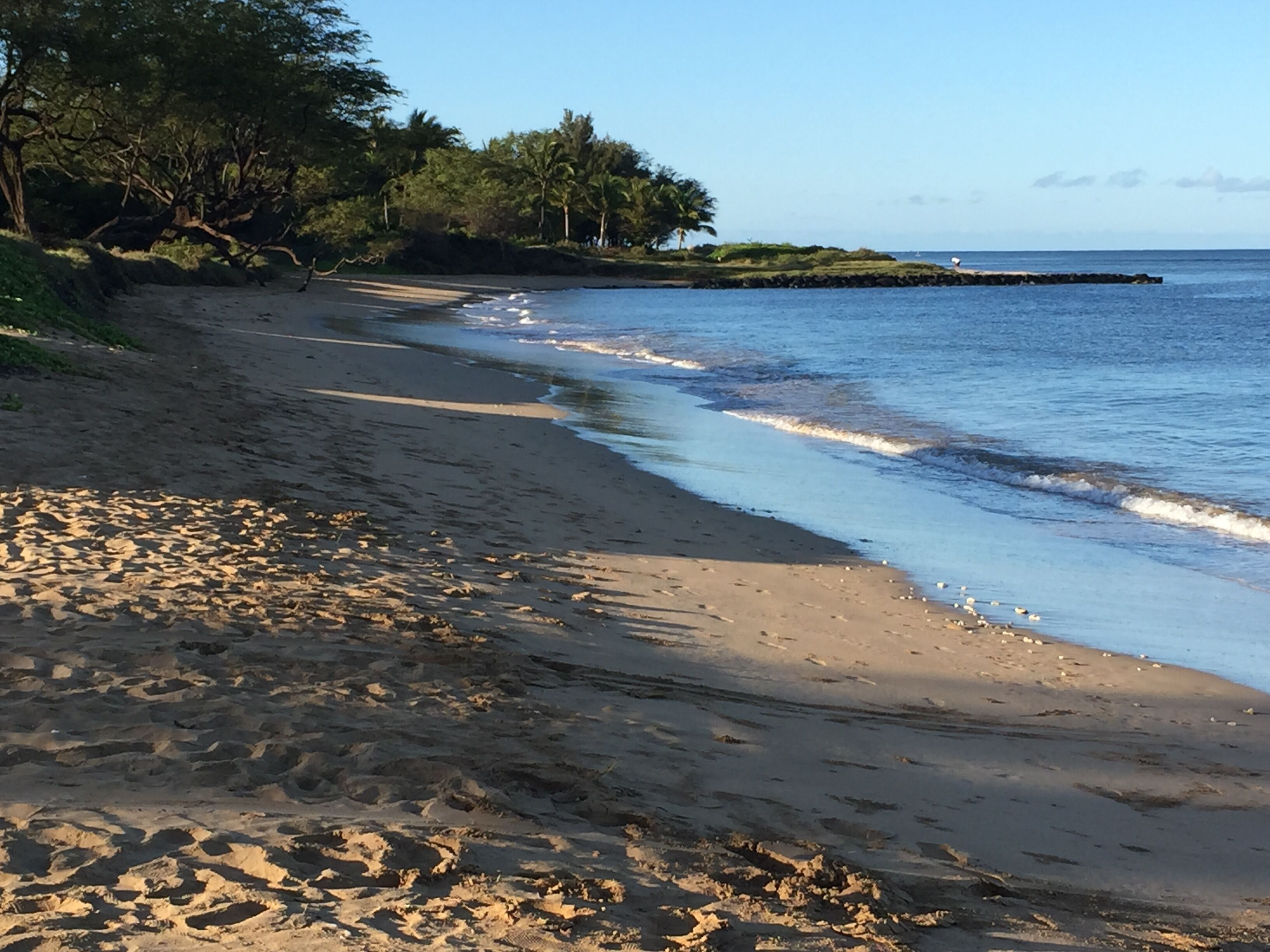 Beach nearby, sun loungers, beach towels