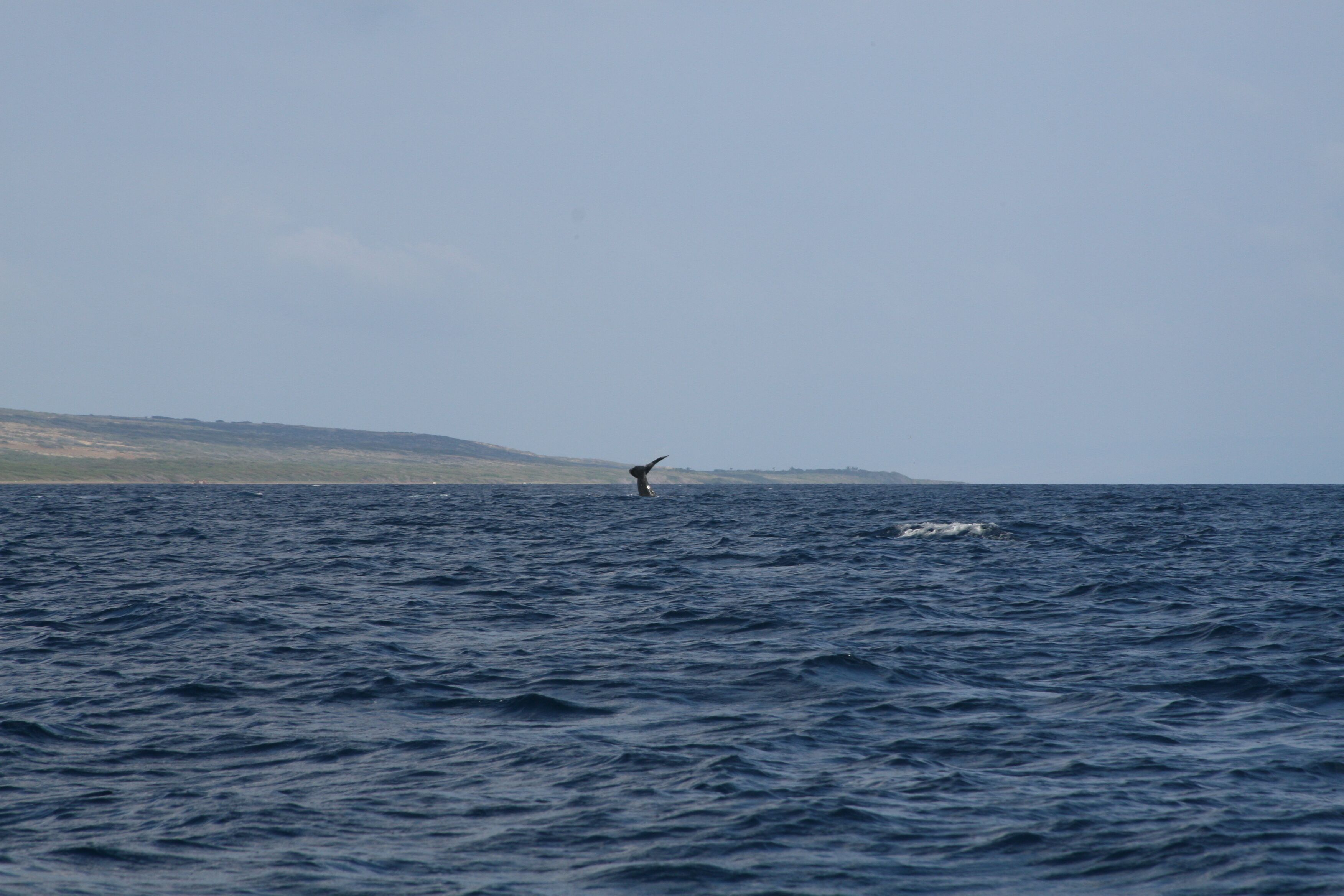 Beach nearby, sun loungers, beach towels