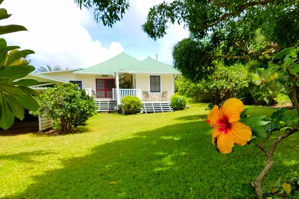 Welcome to Hawi Haven!! We love our front yard!