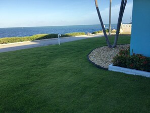 A well-maintained lawn with a view of the ocean, a paved path, and a blue building with a white mailbox. - SPECTACULAR! PRIVATE POOL, OCEAN FRONT, & DOCK Sister house nextdoor VRBO#770357 (Marathon)