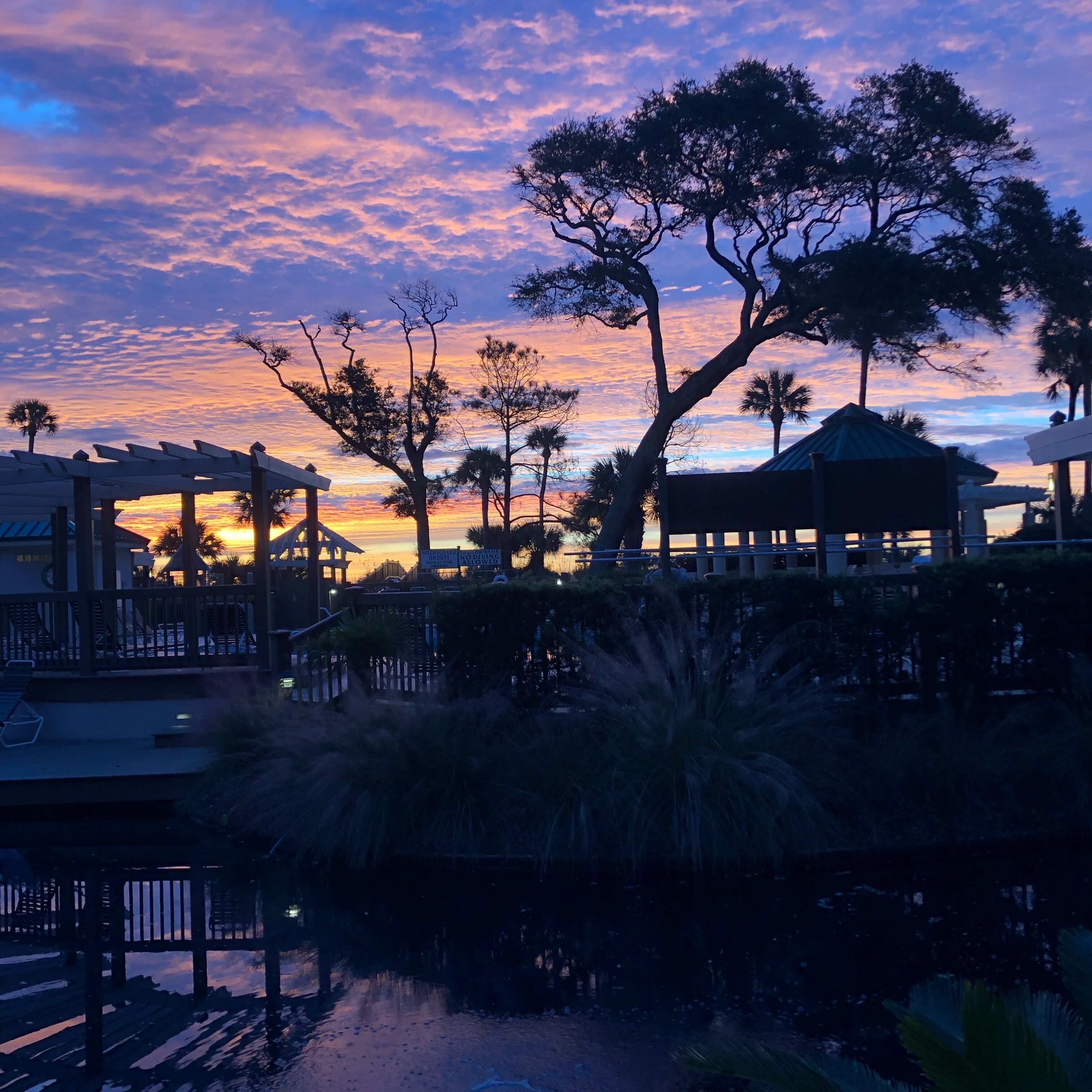 A waterfront area with a gazebo, palm trees, and a sunset over the water.