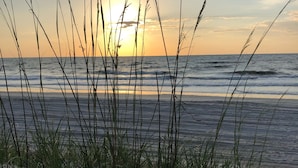 A beach with tall grasses and waves. - Oceanfront - Very Comfortable - Windsor Court (Hilton Head Island)