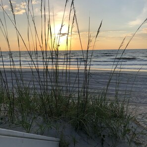 En la playa y camastros 