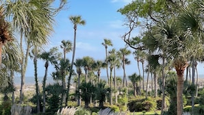 A well-maintained garden with a variety of palm trees and shrubs, a clear pathway, and a view of the ocean. - Oceanfront - Very Comfortable - Windsor Court (Hilton Head Island)