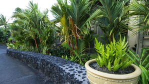A garden with various tropical plants and a large planter.