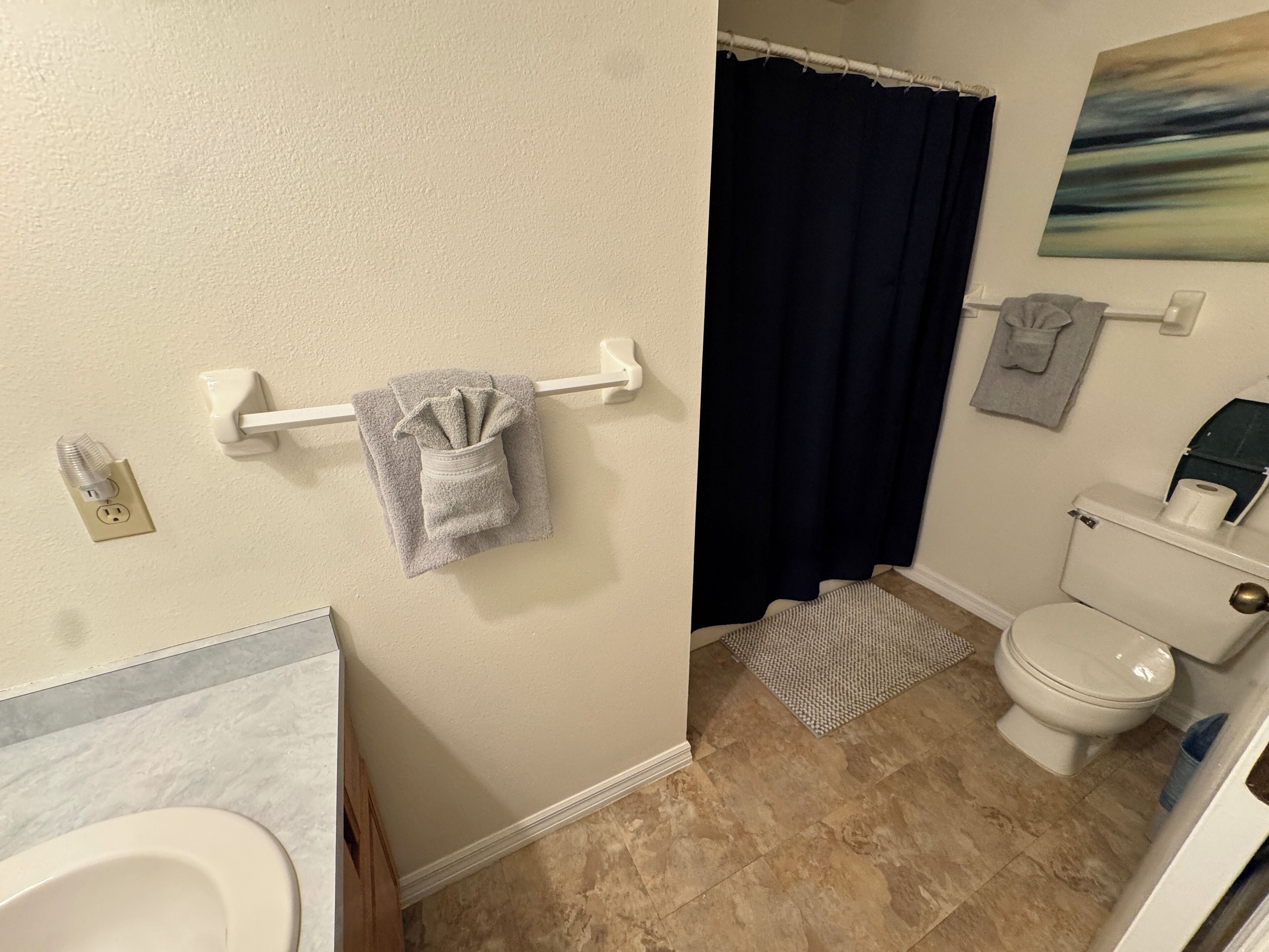 Ein Badezimmer mit Toilette, Handtuchhalter mit Handtuch, Duschvorhang, Teppich und einem Bild an der Wand.
