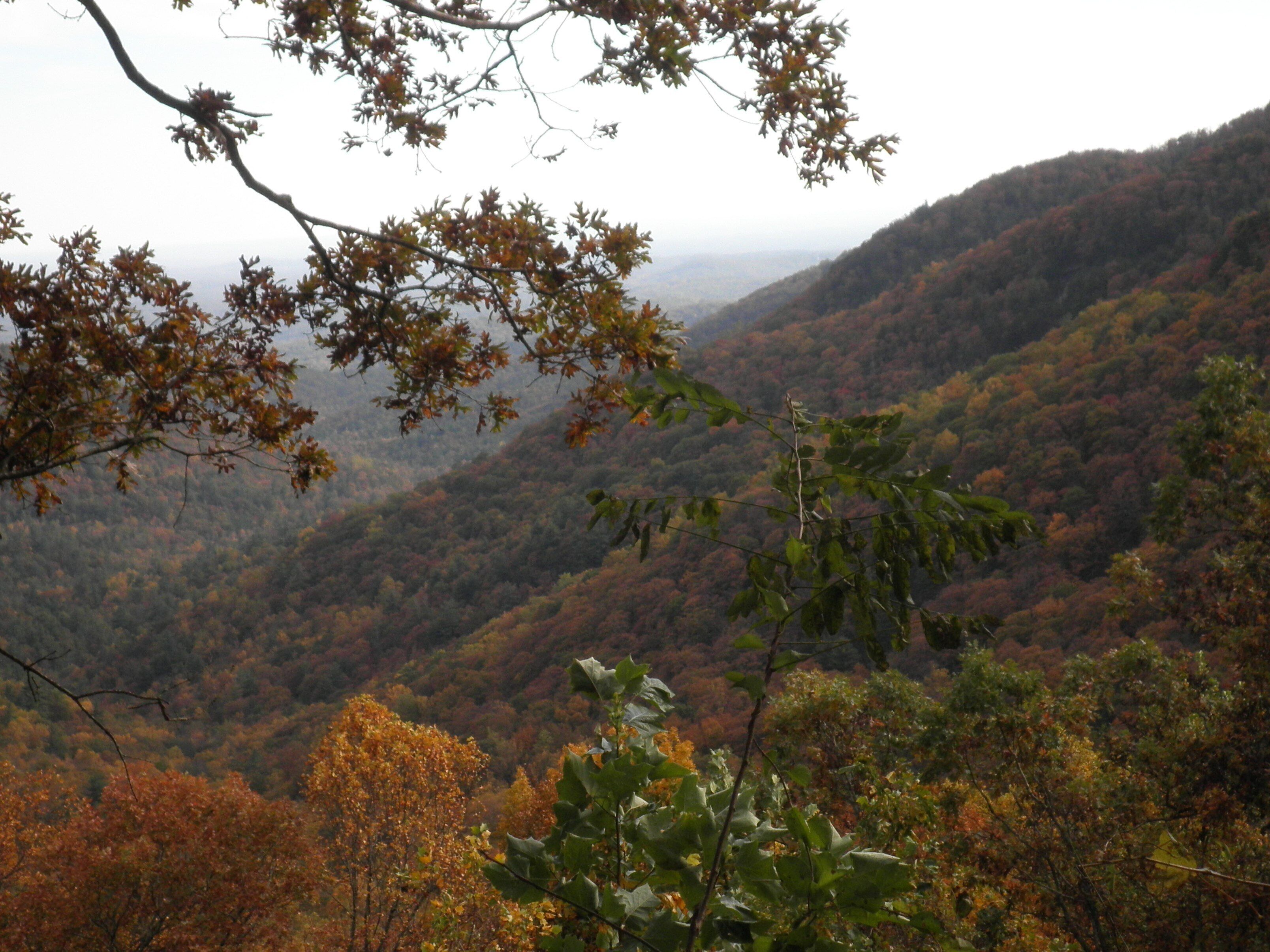 Un paysage montagneux aux couleurs automnales.