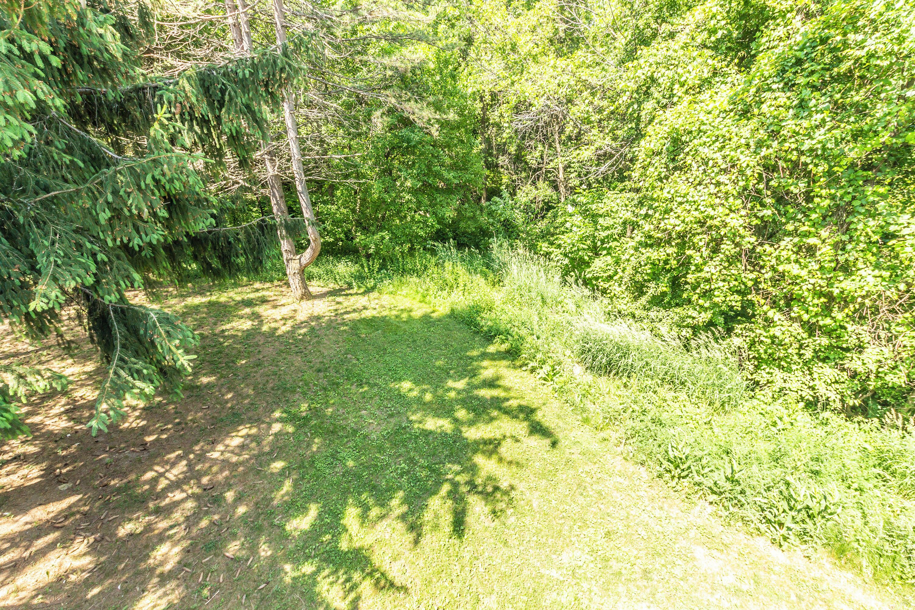 A natural outdoor area with a grassy path, dense foliage, and trees.