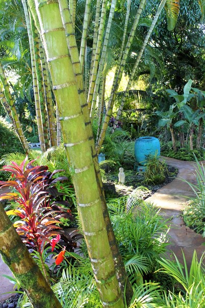 Tropical Studio Apartment!