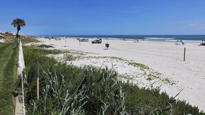 Ein Strand mit blauem Himmel, sandigem Ufer und spärlicher Vegetation.