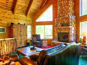 Televisión, chimenea, reproductor de DVD