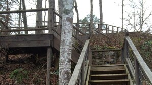 Una escalera de madera que sube a una plataforma de madera en un área boscosa.