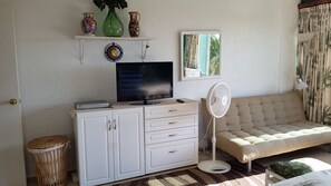 Smart TV, books, music library