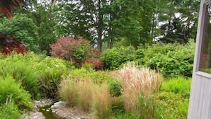 Un jardin avec un petit ruisseau, diverses plantes et une terrasse en bois.