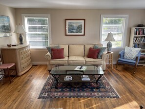 TV, fireplace, books, music library
