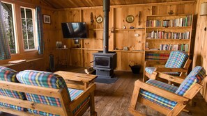 Smart TV, fireplace, books, video library