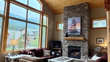 TV connectée, cheminée, jeux vidéo, lecteur de DVD