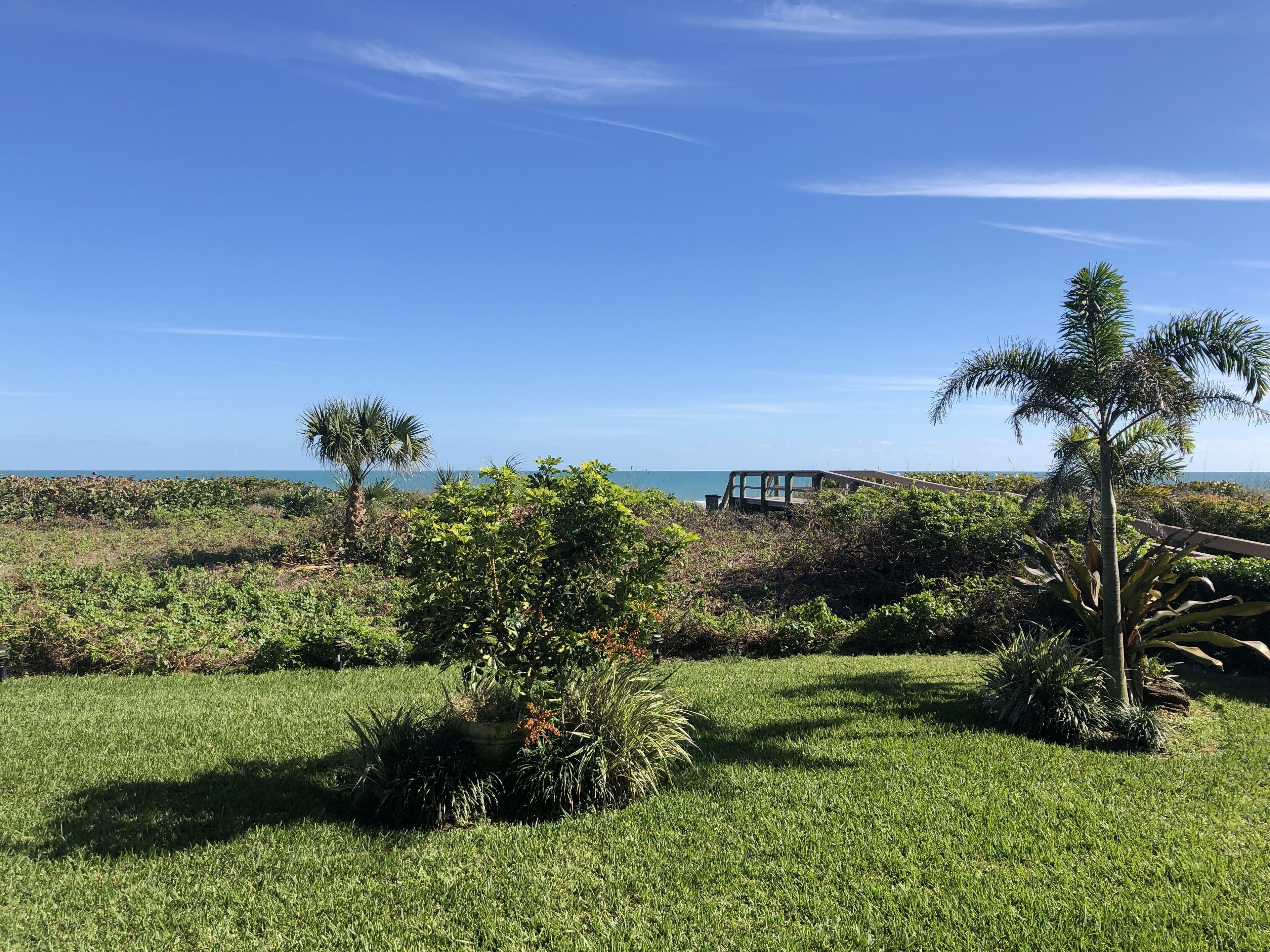 A grassy area with a wooden deck and a view of the ocean.