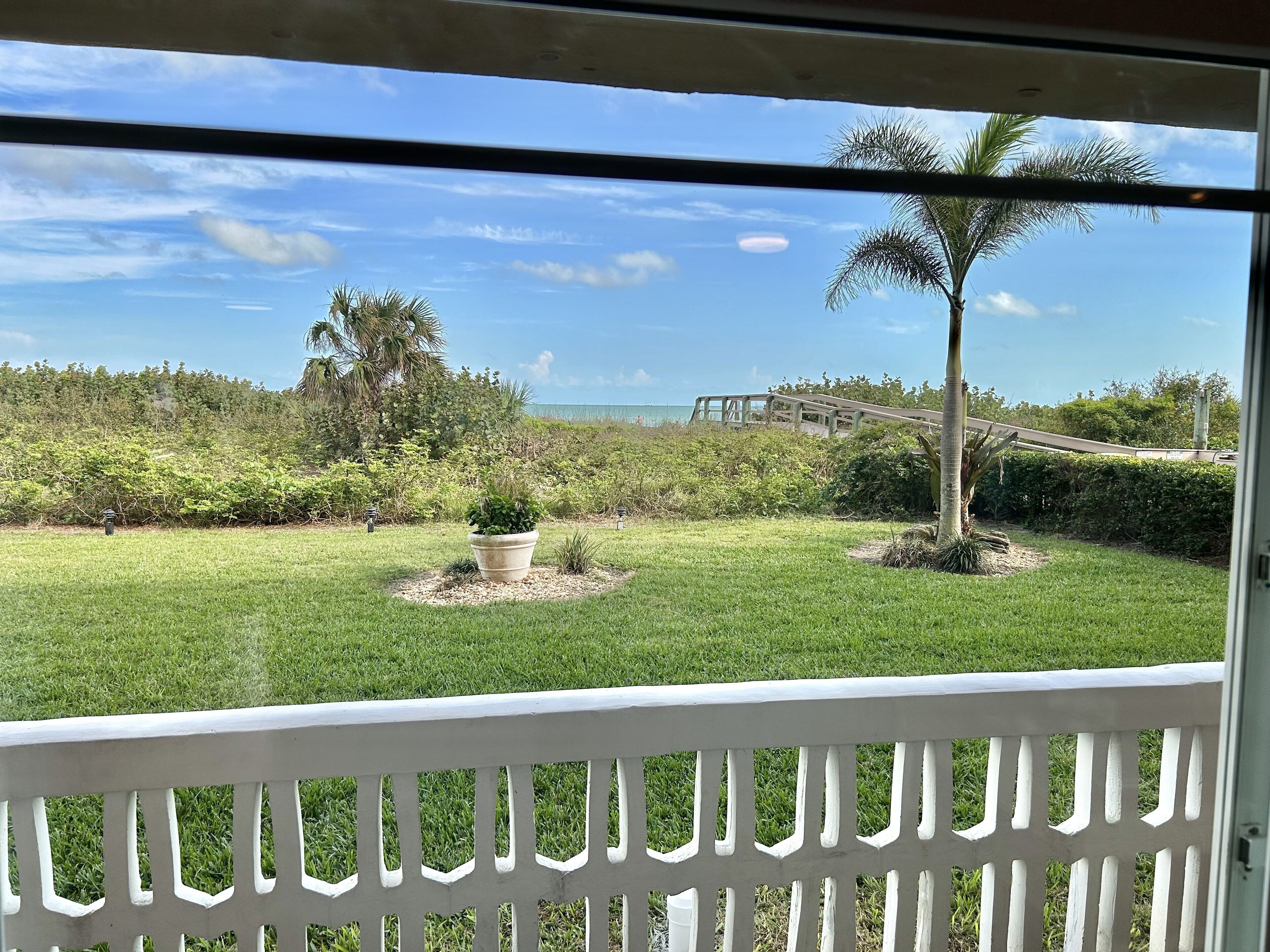 A view through a window with a white railing, a grassy yard, a palm tree, and a wooden deck.
