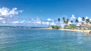 A beach with clear blue water, palm trees, and a sandy shore. - Stunning and Fabulous!!! Villa Palma- Pool, Golf, Beach, Wifi, Gated Community (Dorado)