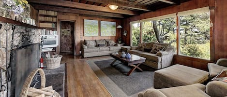 TV, fireplace, DVD player, books