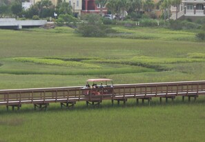A bridge with a vehicle and passengers, surrounded by green fields and distant buildings. - Newly Renovated Condo in Beautiful Beach Front Resort (Hilton Head Island)