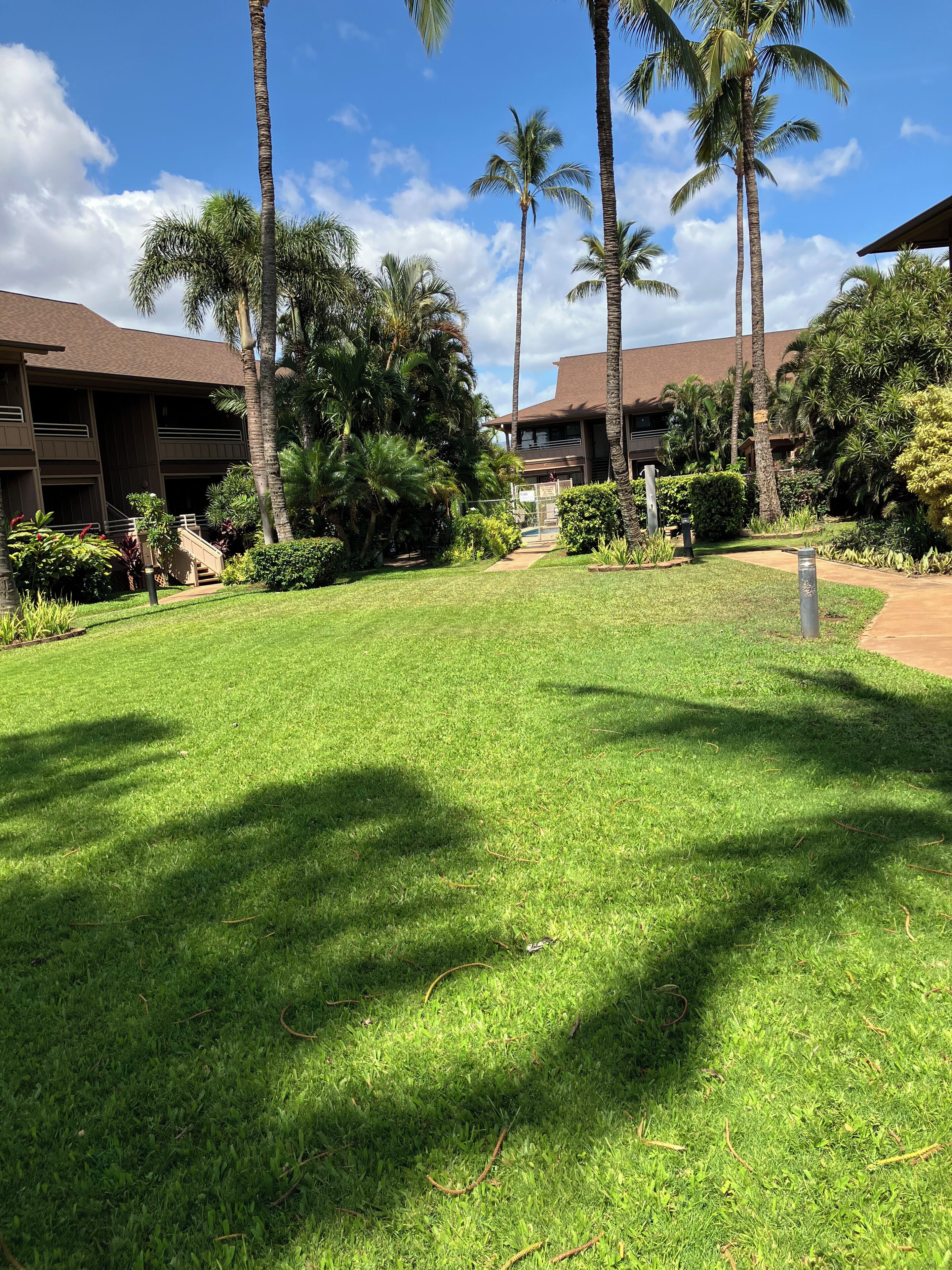 Terrain de l’hébergement 