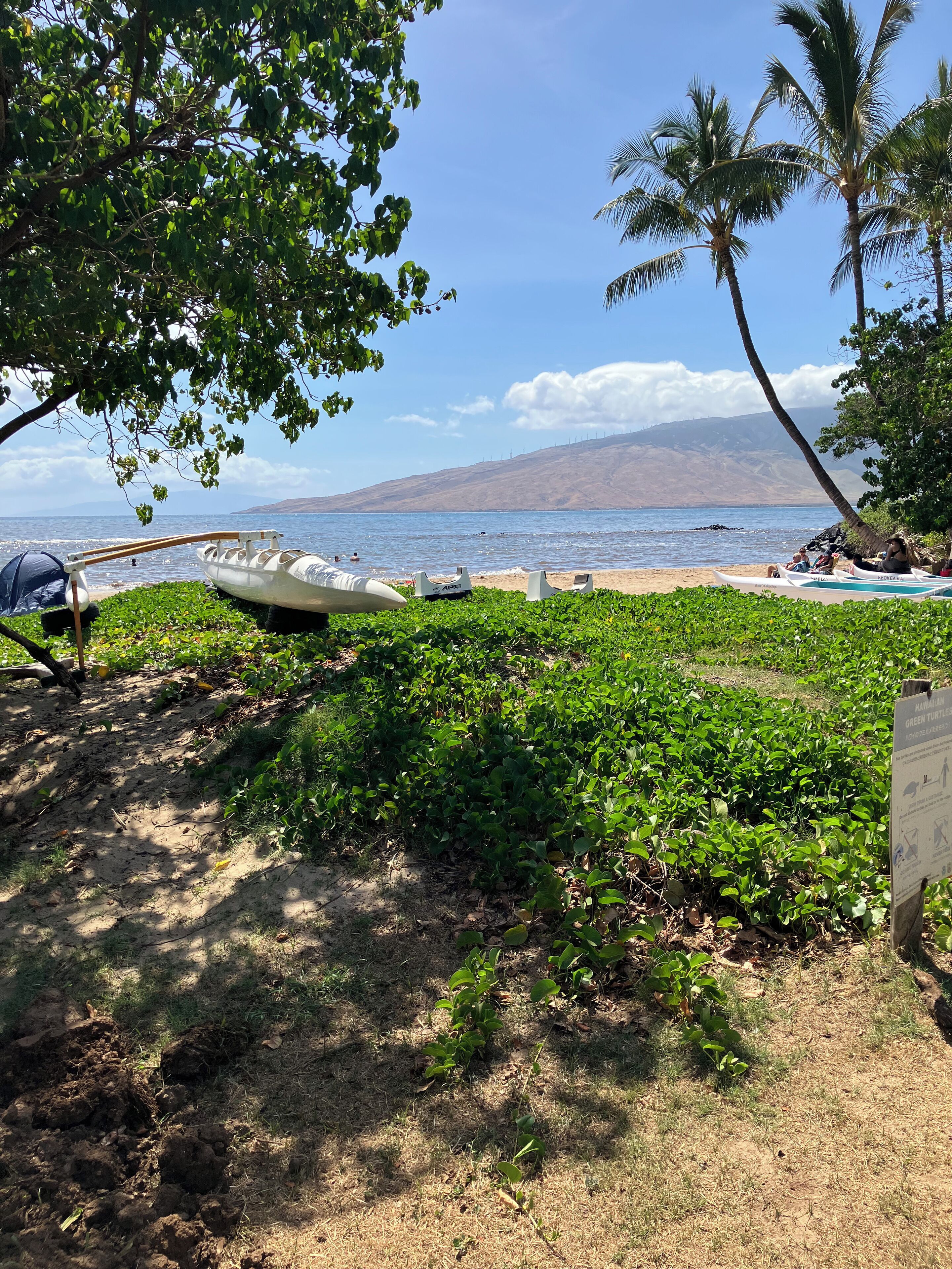 En la playa, camastros y toallas de playa 