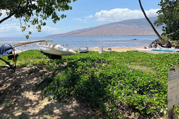 On the beach, sun-loungers, beach towels