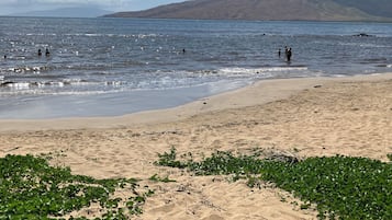 On the beach, sun-loungers, beach towels