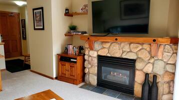 Télévision, cheminée, jeux vidéo, lecteur de DVD