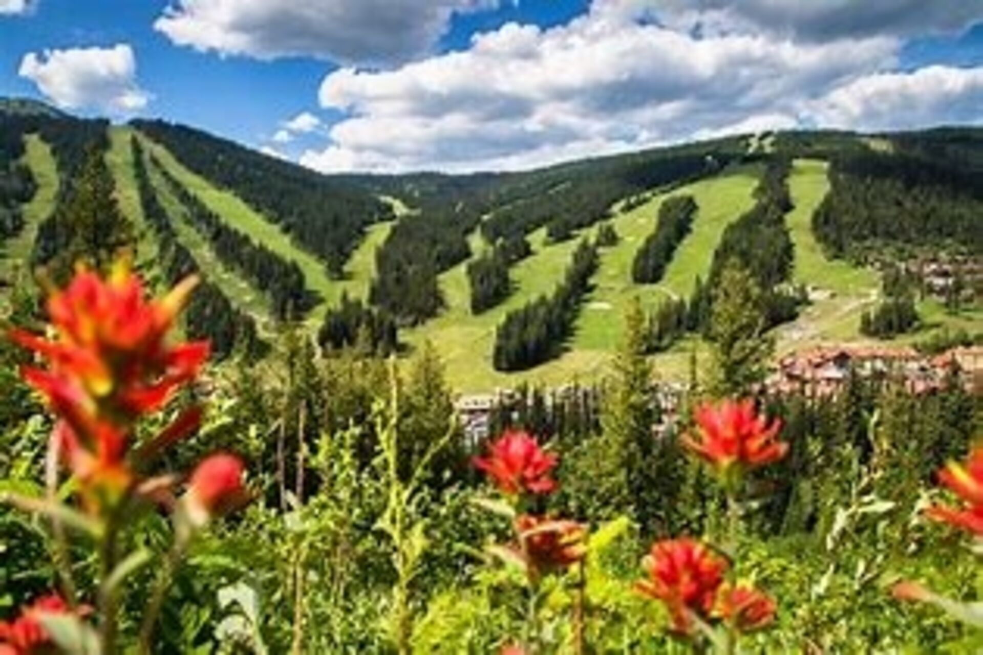 A mountainous landscape with green fields and red flowers in the foreground.