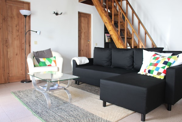 Smart TV, fireplace, books
