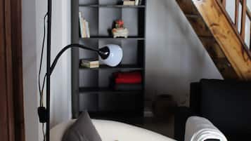 Smart TV, fireplace, books