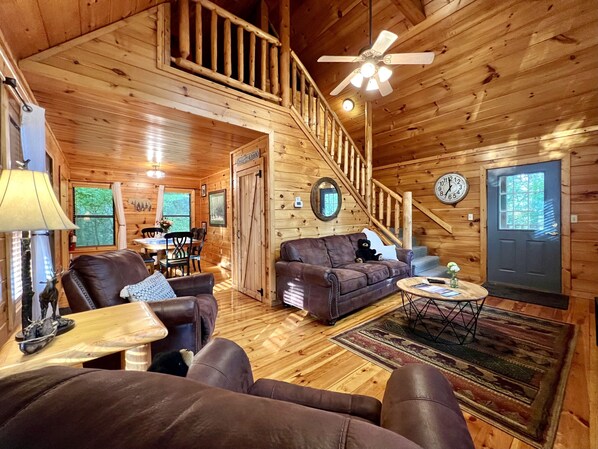 Smart TV, fireplace, video game console, DVD player