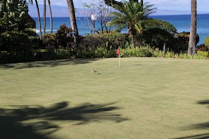 Ein Golfplatz mit einer roten Fahne, Palmen und Blick aufs Meer.