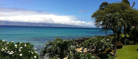 A tropical beach with clear turquoise waters, a wooden fence, and lush greenery.
