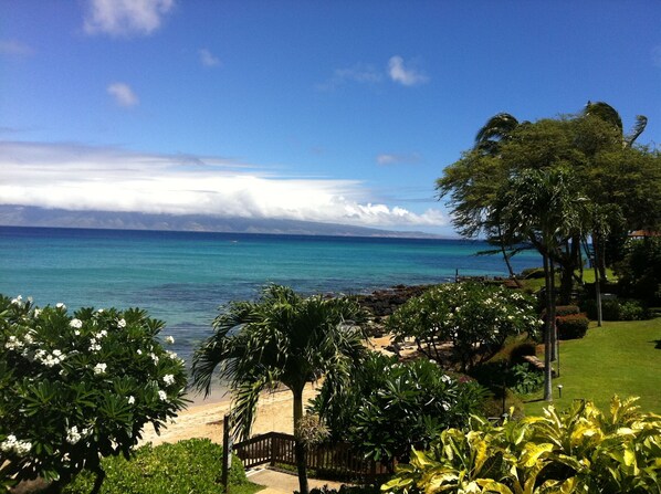 A tropical beach with clear turquoise waters, a wooden fence, and lush greenery.