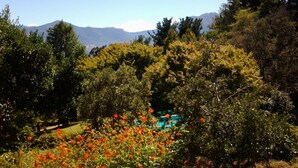 A garden with a variety of trees and flowering plants, a pathway, and a mountain range in the background.