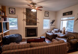 TV, fireplace, DVD player, books