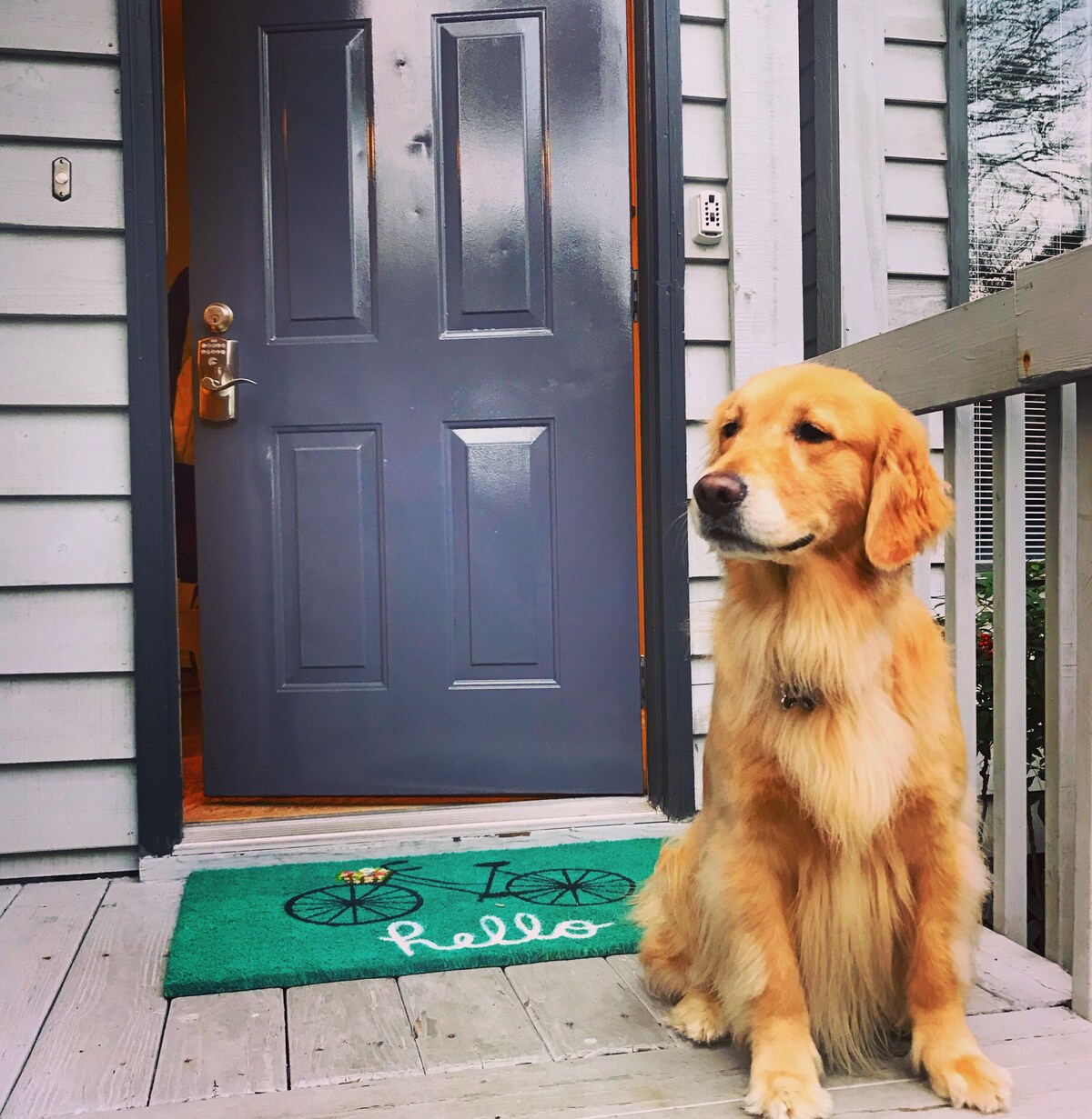 Awesome Beachside and Dog-friendly 2 Bed, 2.5 bath!