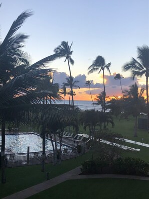 Pool - Beautiful Ocean Front Condo - unit A-314 (Kihei)