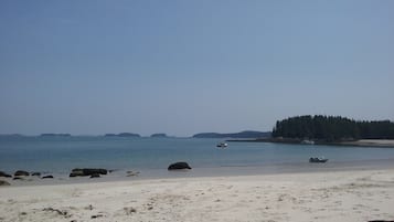 在海滩