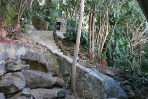 Stairs from our house to driveway.