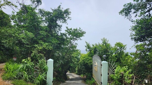 A paved pathway leading through a lush, green area with a metal gate and a lamp post. - The Beach House on St. Thomas with Secluded Sand Beach (St. Thomas)