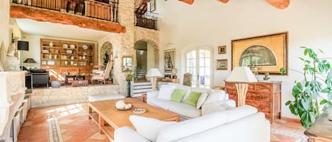 电视、壁炉、DVD 播放器、书