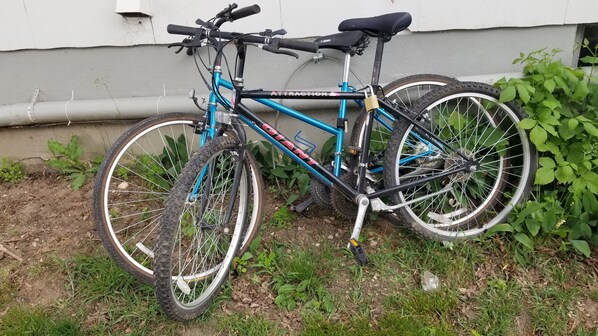 A blue bicycle with the brand name "GIANT" parked on a grassy area next to a building. - Beautiful Lake Front Home On Como with boat and motor included (Lake Geneva)