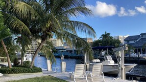 A marina with boats docked, a grassy area with chairs, and a palm tree.