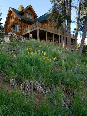 Exterior detail - Luxurious Cabin Located In Northwest Colorado, USA (Red Feather Lakes)